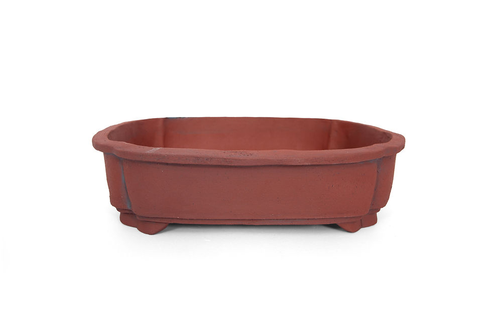 Thumbnail: Bonsai pot van rode klei in een rechthoekige vorm met ronde hoeken en een rand, achterkant