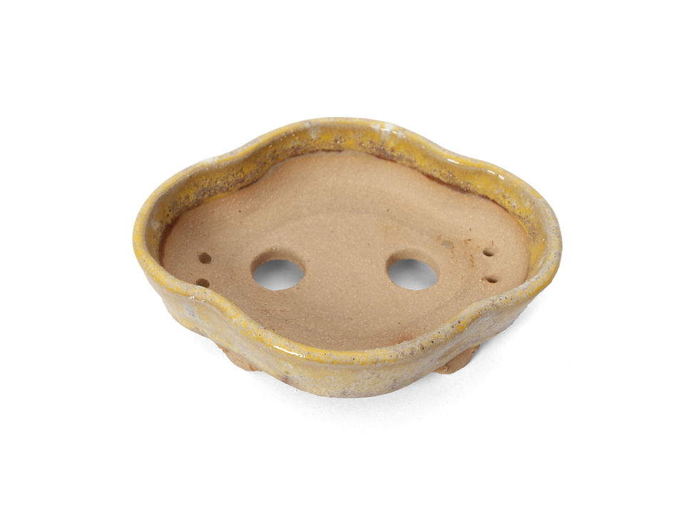Thumbnail: Mokko vormige shohin bonsai pot in een licht gele glazuur met wat rode accenten van bovenaf