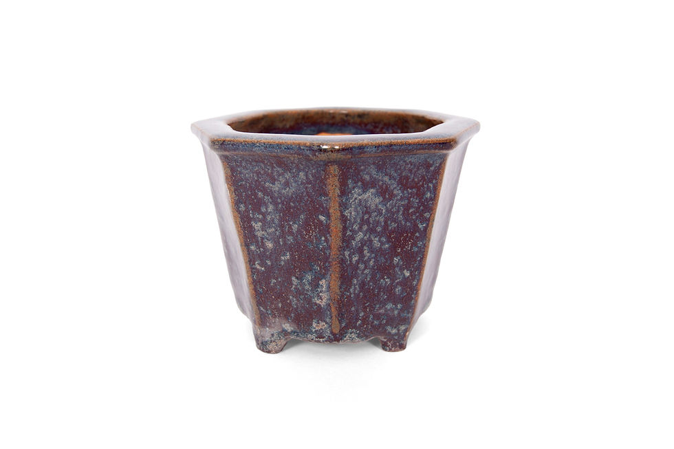 Thumbnail: Kleine shohin achthoekige bonsai pot voor een half cascade boom, andere zijde