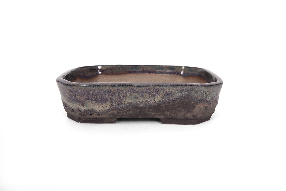 Thumbnail: Bonsai pot  | Rectangular | 3,5 x 15 x 12 cm