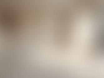 Boost Your Sales: Professional Real Estate Photography Services