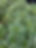 IMG_3968.jpeg