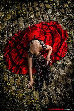 21265_667033720073278_2072407347649584409_n