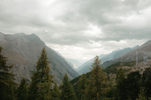 mountains and trees on a cloudy day seen from the train