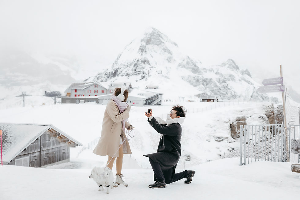 Proposal in Mannlichen, Wengen: a couple in the middle of their marriage proposal in the snow with their dog in Switzerland.