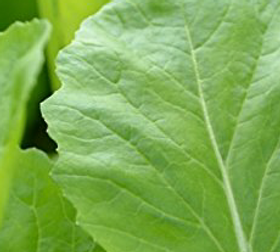 Screenshot 2020-05-20 at 11.17.44.png