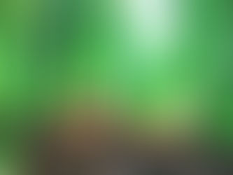 How to Grow Onions & Garlic in Containers