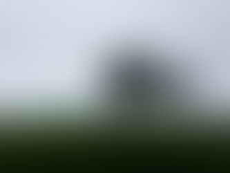 10 Tips to Prepare Your Garden for a Storm