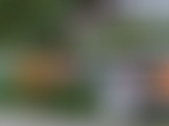 Five Reasons to Grow Onions & Garlic in Pots