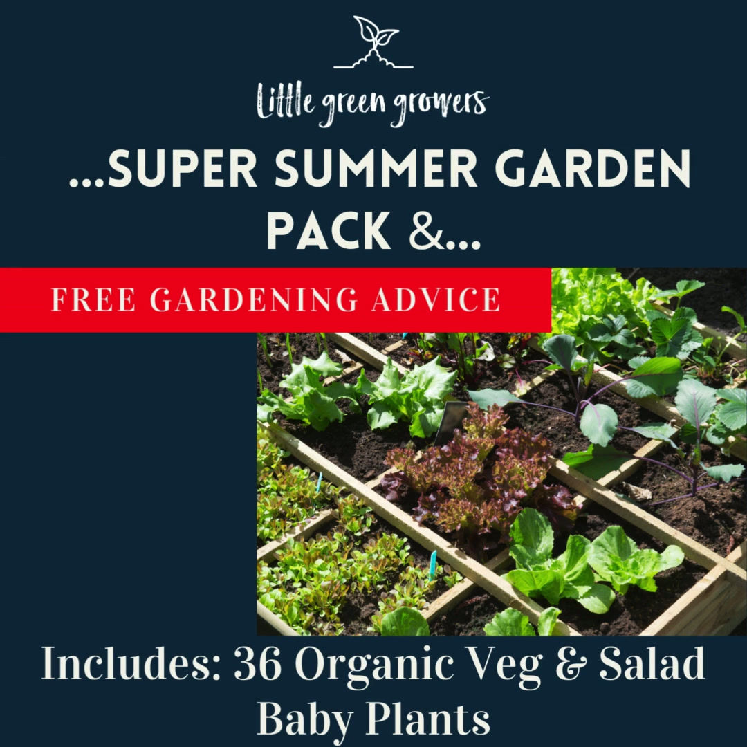 Happy Growing! - Seasonal Subscription Upfront Payment