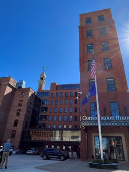 Constellation Brands ($STZ) Earnings Strategy – Premium Beer Stability with Upside Bias