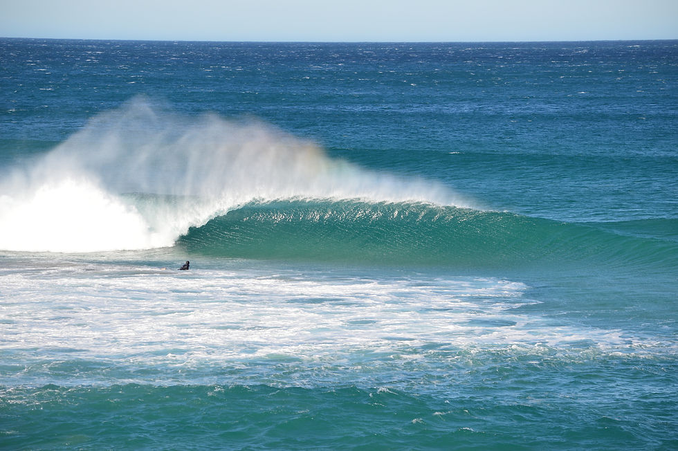 Surf