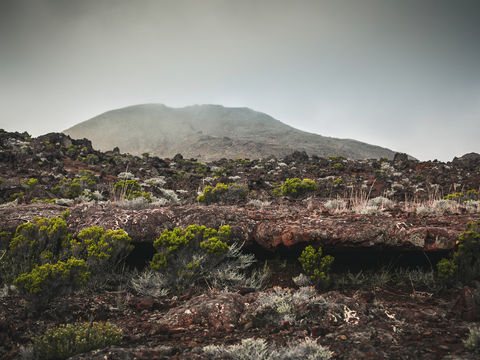 La Réunion - Jour 11 de Bourg-Murat au gîte du Volcan