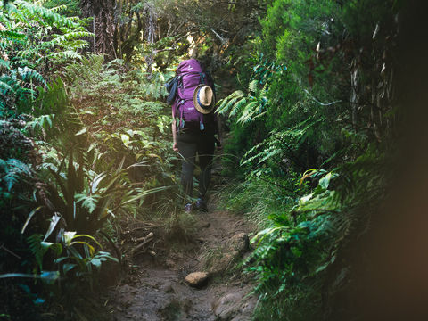 La Réunion - Préparatifs et Jour 1 de Mamode Camp au Gîte de la Roche-Ecrite