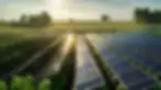 solar-farm-with-solar-panels-roof.webp