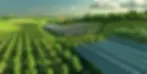 solar-farm-with-trees-panels.webp