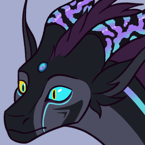 kai_FIN_01.gif