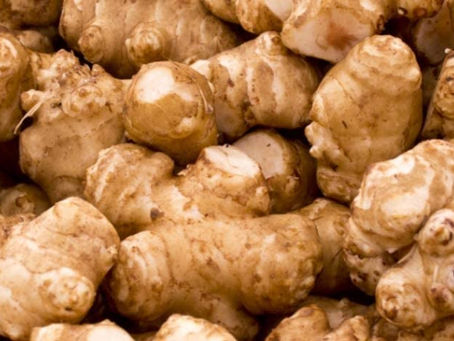 Featured Plant: Jerusalem Artichokes(Helianthus tuberosus) Zone 3-8