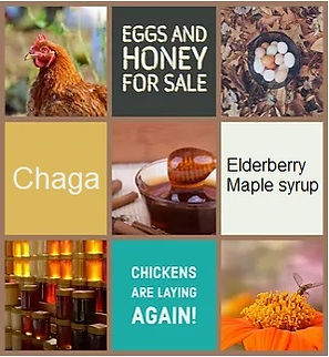 Untitled.jpg