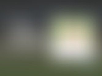 2024 Letter from the President