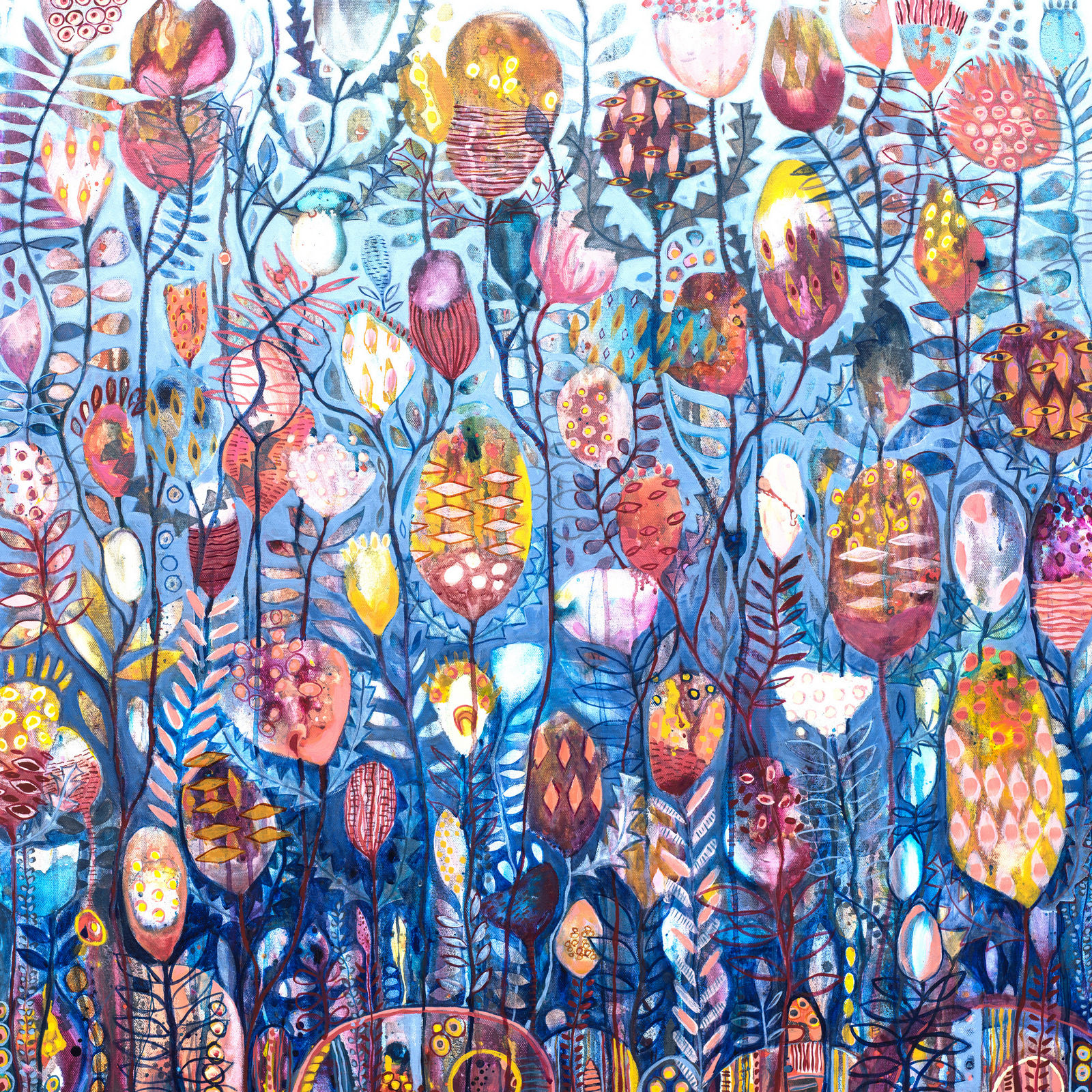 Banksia Blooms   square fine art print