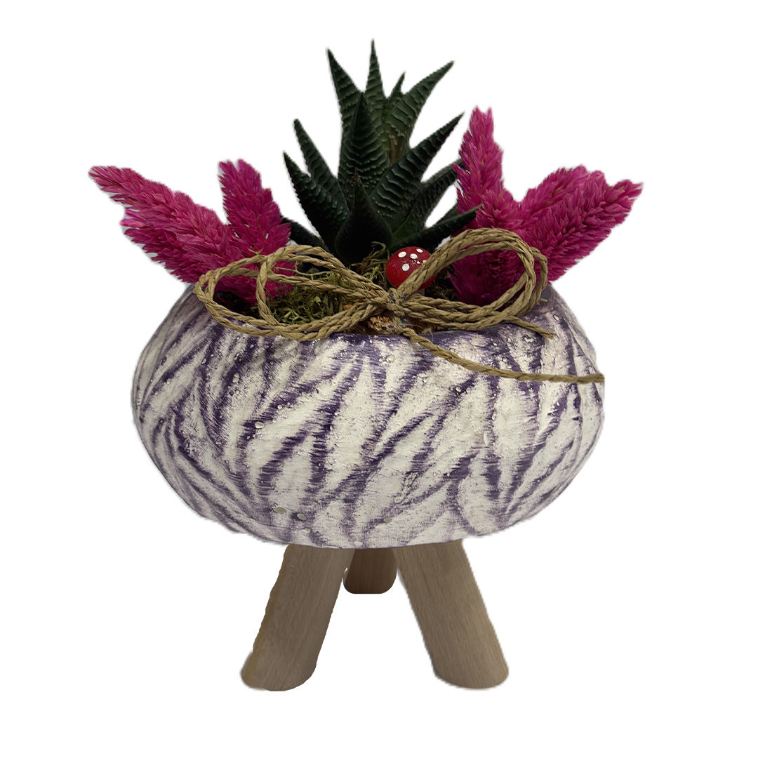 Elips İnce Çizgili Teraryum