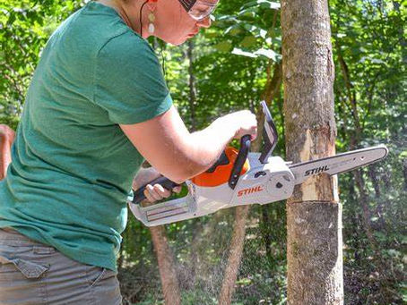 DIY Tree Work