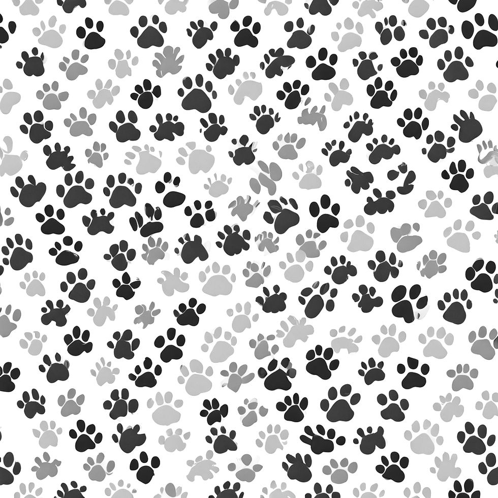 paw print pattern_edited.jpg