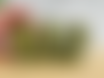 Dondurarak Sakla: Pratik Ispanak Çorbası Küpleri