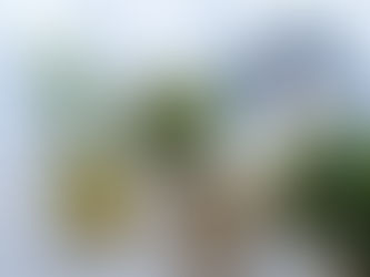 Düğün öncesi beslenme önerileri ve gelin diyeti ile gelinliğe daha fit sığabilir, sağlıklı ve enerjik bir ciltle düğün gününüzde ışıldayabilirsiniz.