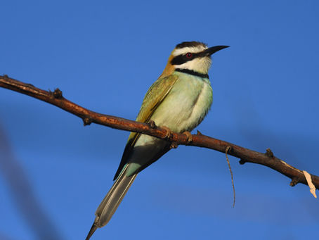 Grand Kenyan Roadtrip - Part 3 The North