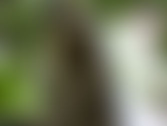 Grand Kenyan Roadtrip - Part 1 The Coast