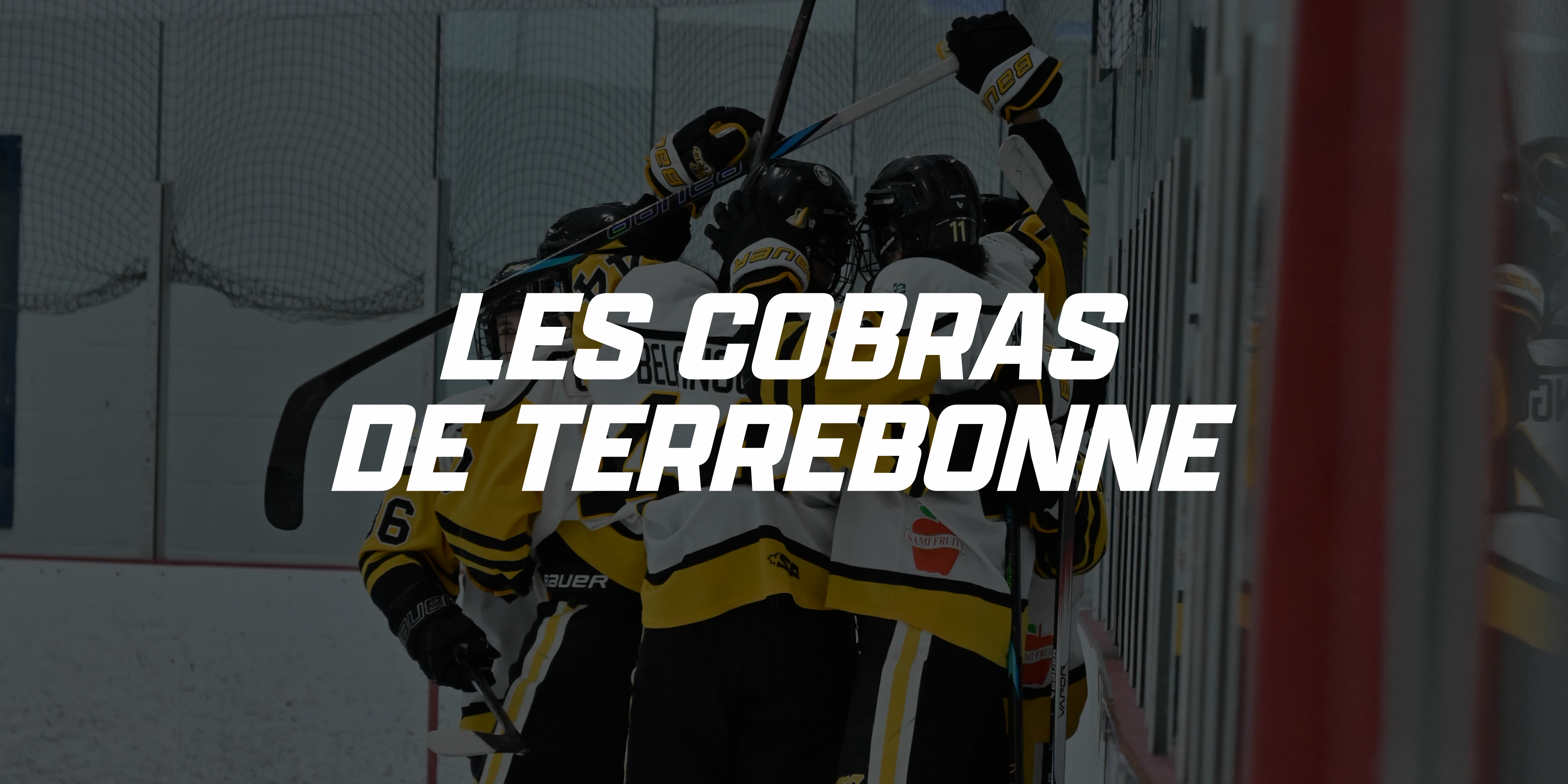 Bannière les Cobras de Terrebonne