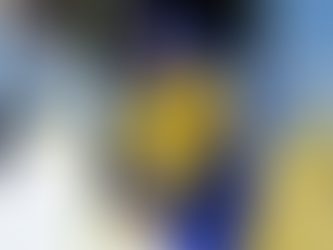 Historique de l'Ukraine dans la LNH