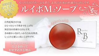 ルイボM2 ジェル3箱、ソープ1箱 ルイボM2ソープ | 株式会社ジョイライフ