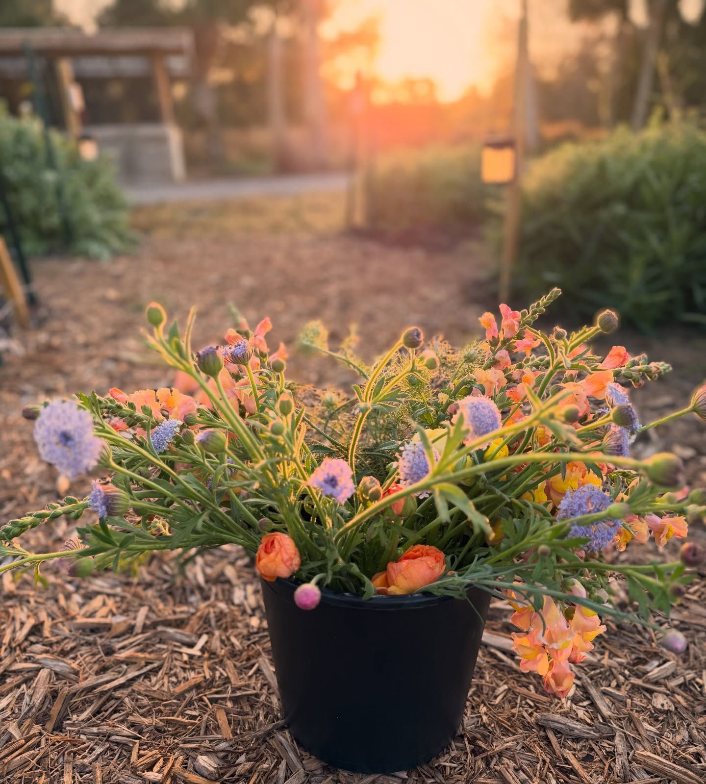 Bulk Bucket of Flowers