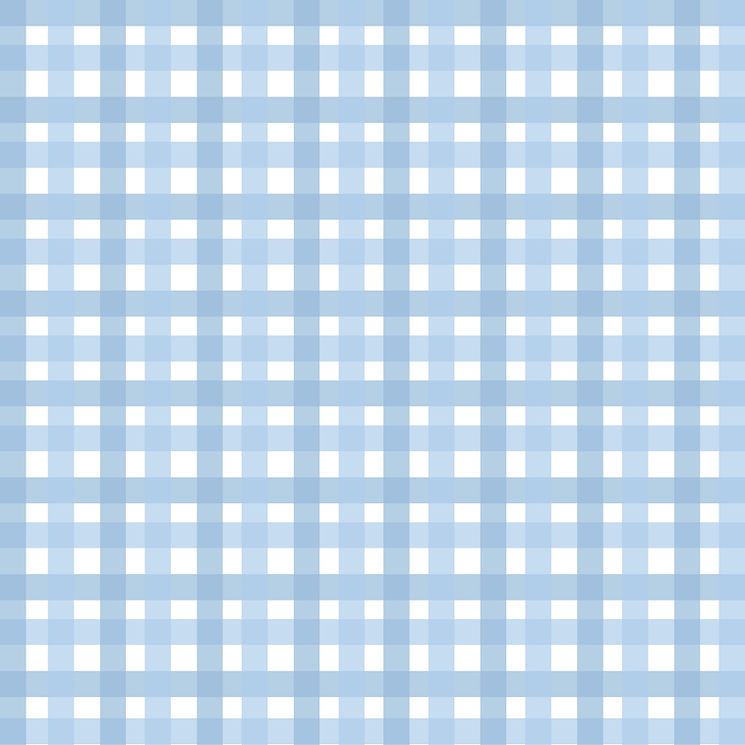 gingham-1522743 50%.jpg