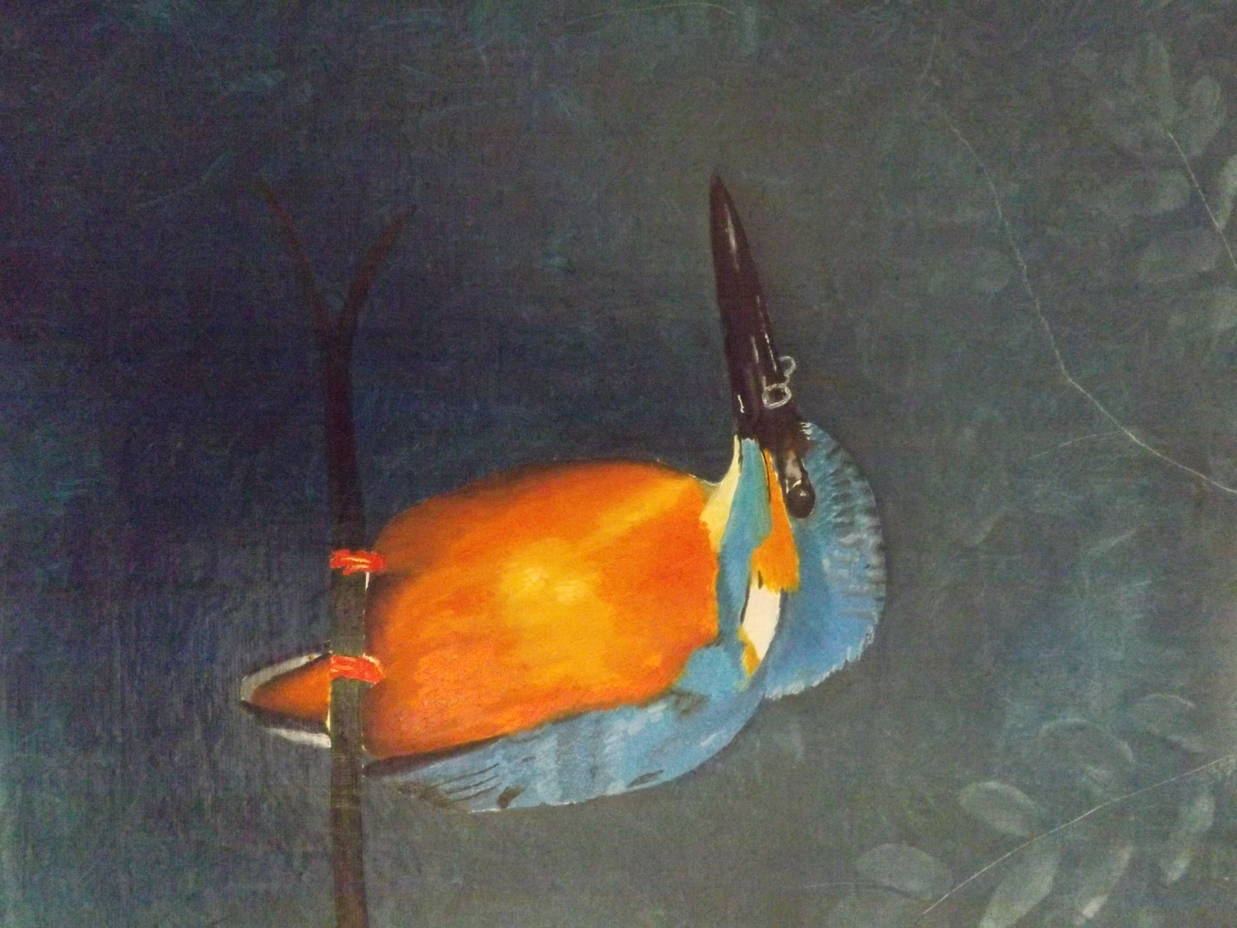 Kingfisher