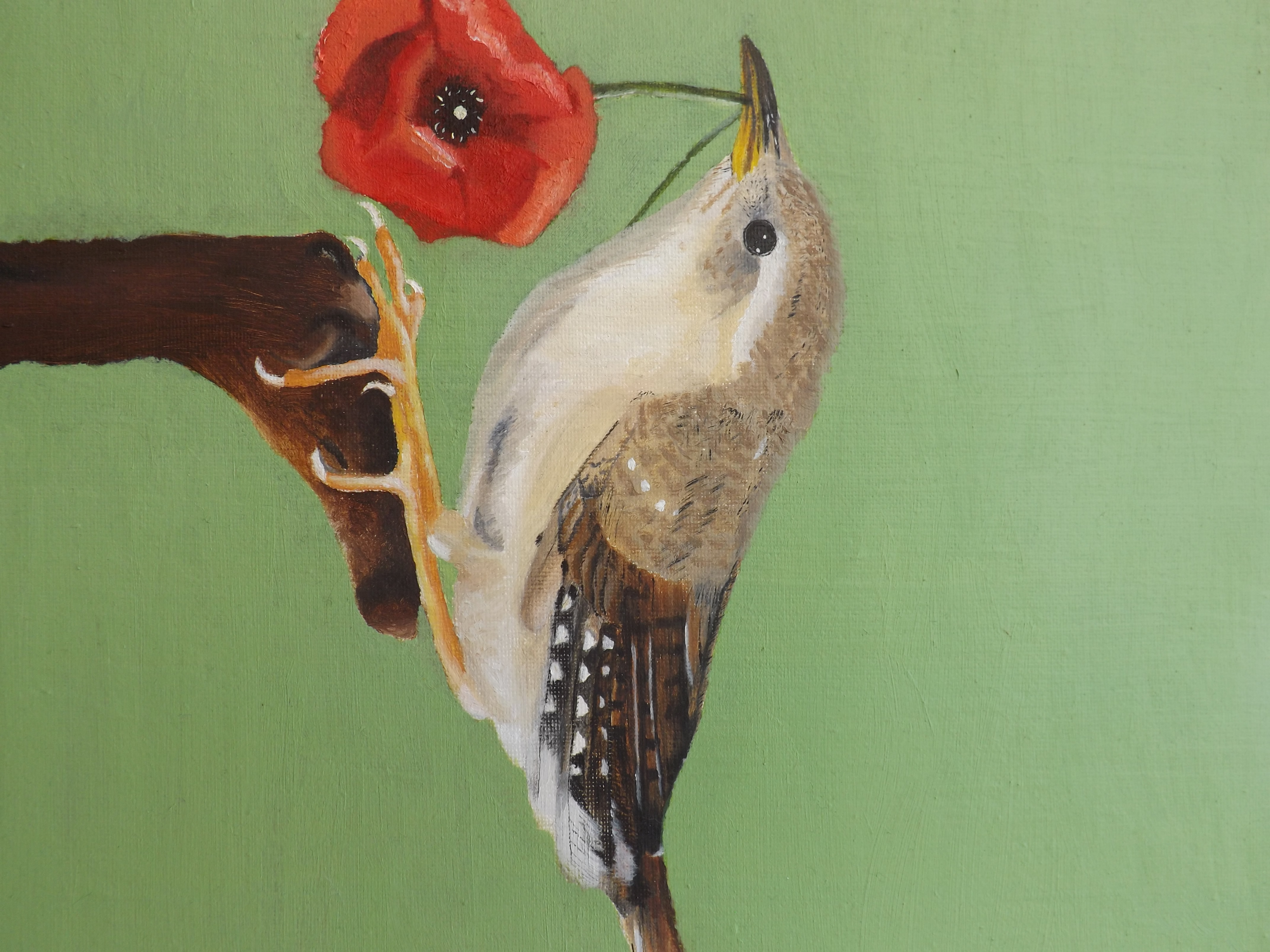 Wren and Poppy