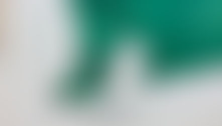 Never-Before-Seen Andy Warhol Originals Featured in Rare Children’s Literature Bequest