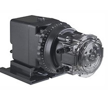 small for website.jpg