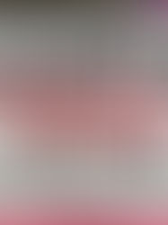 Días Naranjas: Por qué las 10 demandas de la Alianza de la Convención de Estambul (BIK) deben implementarse ahora