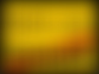 INTERVIEW Himsa (Gewalt) und Ahimsa (Gewaltfreiheit)