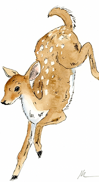 Screen Shot 2025-06-23 at 12.50.55 PM.png