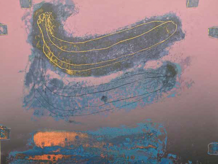 Banana Art Series, Exhibitions, C. David Thomas