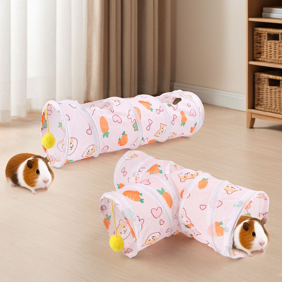 Thumbnail: Carrot Tunnel Hideout for Small Pets