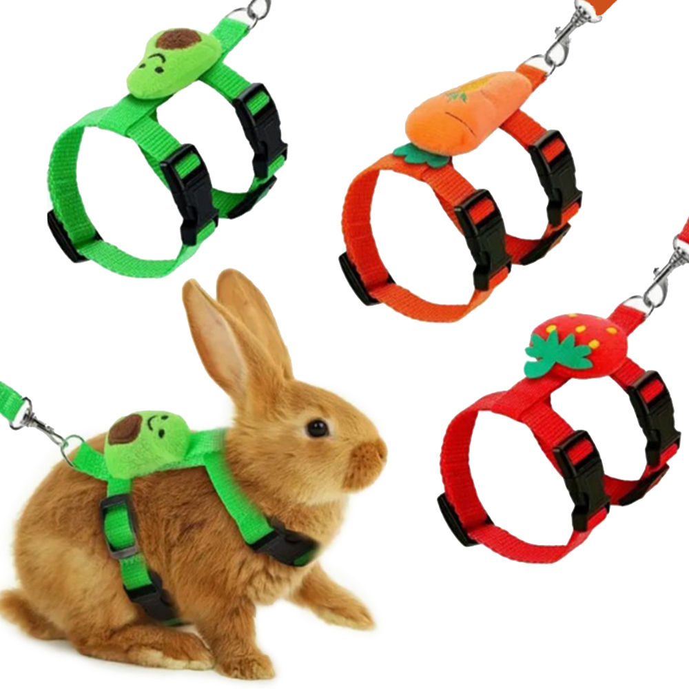 Adjustable Small Pet Harness and Leash Set