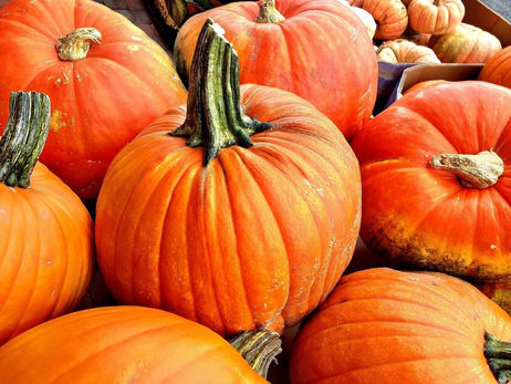 It's the Great Pumpkin