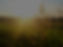 background image of wheat with sun to represent Kansas