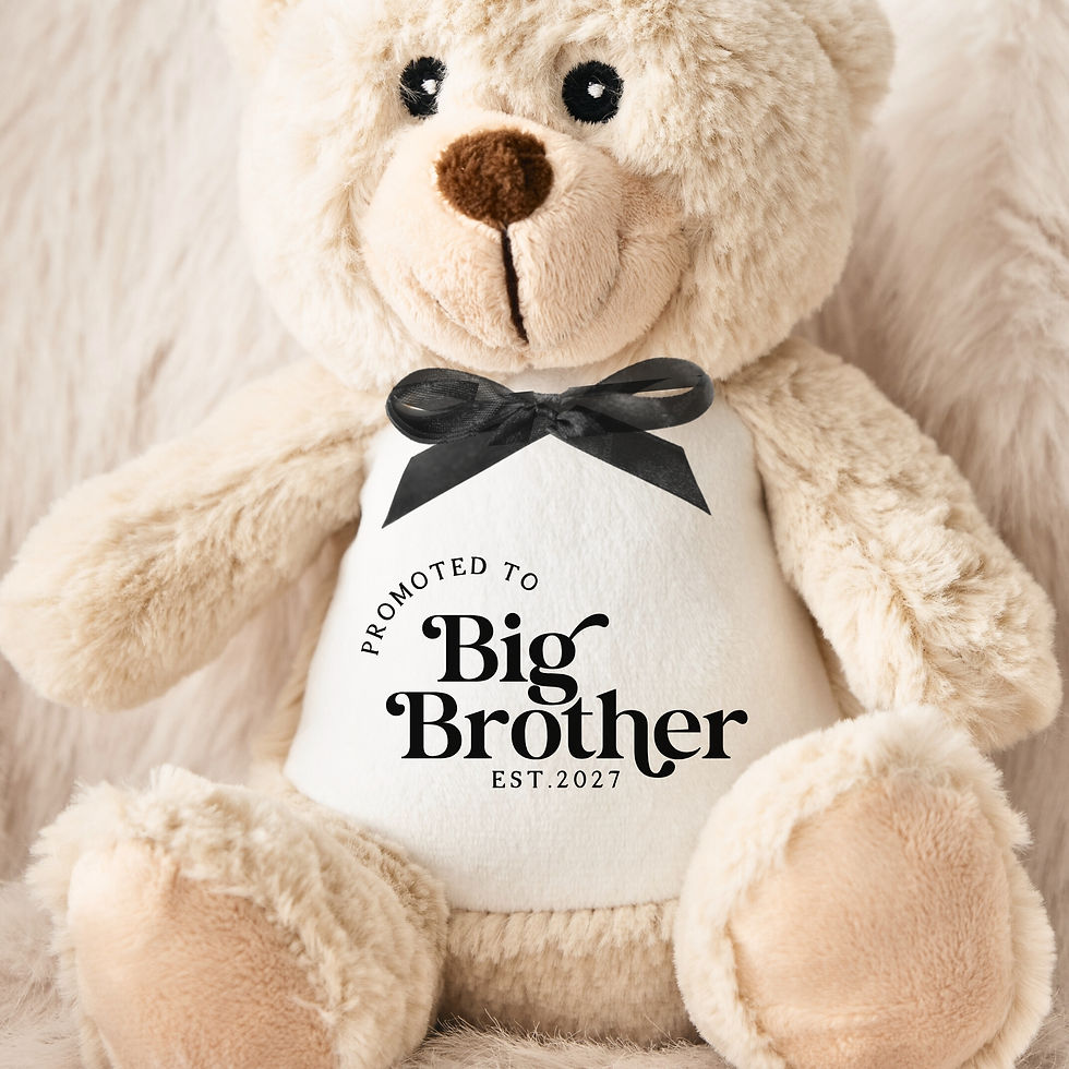 Thumbnail: Promoted to Big Brother Teddy Bear